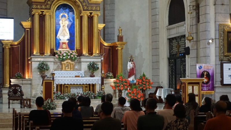 11th in Ordinary Time (Year A) – Driven by Divine Compassion