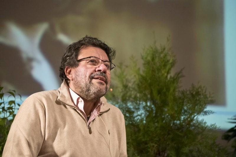 PIETRO SARUBBI