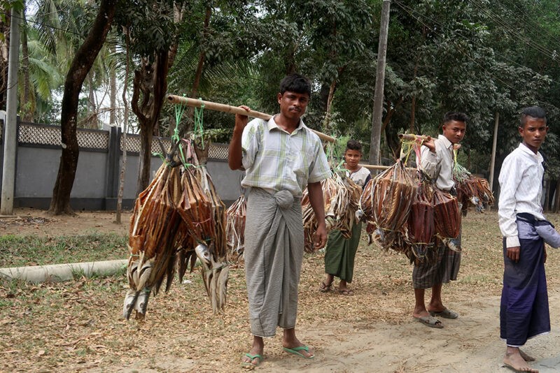 MEMÓRIA PORTUGUESA NO NORDESTE DA ÍNDIA E NO BANGLADESH – 38