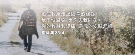 再思青年身心健康需要及介入策略